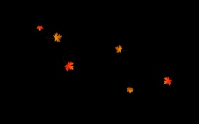 枫叶随风飘飘洒洒flash动画